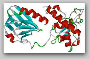 formamidopyri