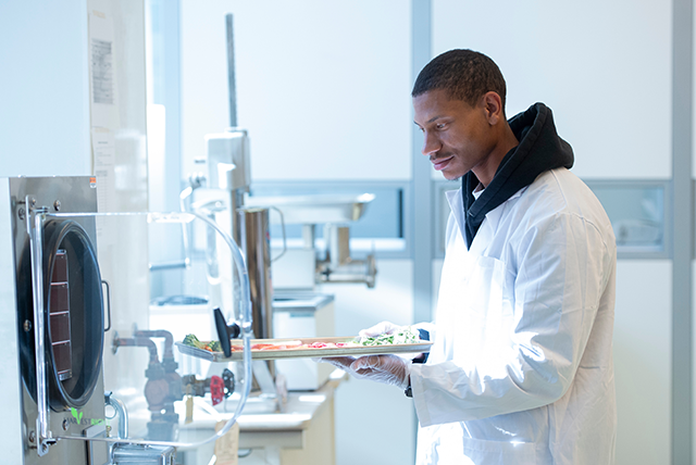 Student working in the laboratory 