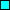 Cyan Square Icon - Applied and Advanced Studies in Ed.