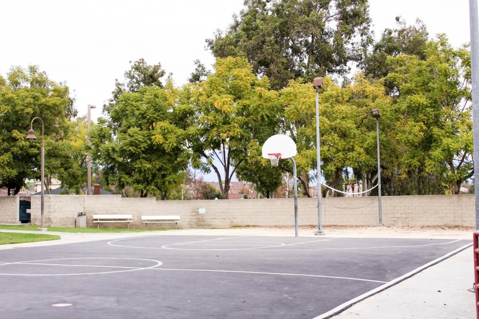 Basketball Court