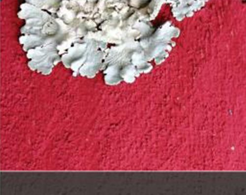 White ruffled design on top of a rough red colored background