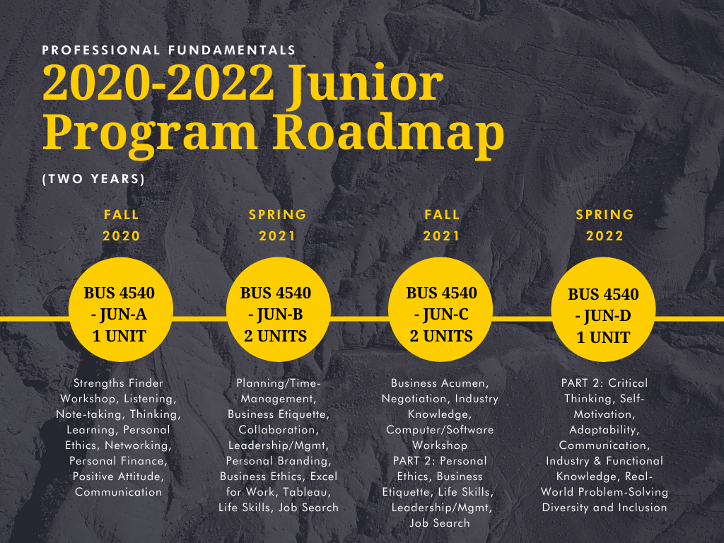 Junior Roadmap