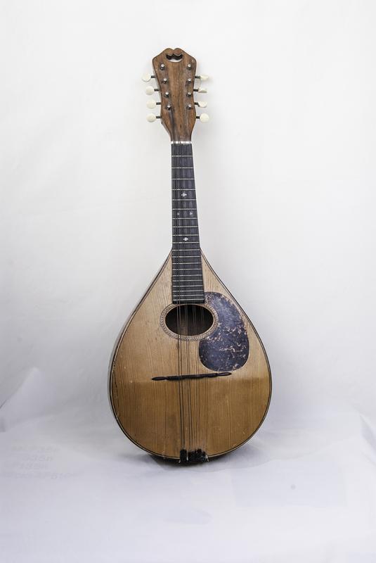 A mandolin