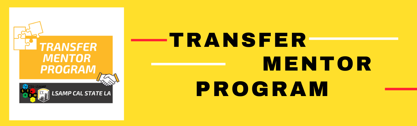 Transfer Mentor Program
