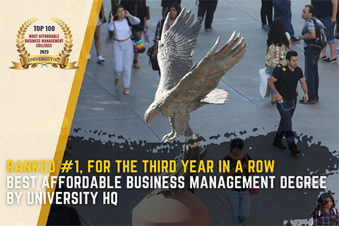 best_affordable_business_management