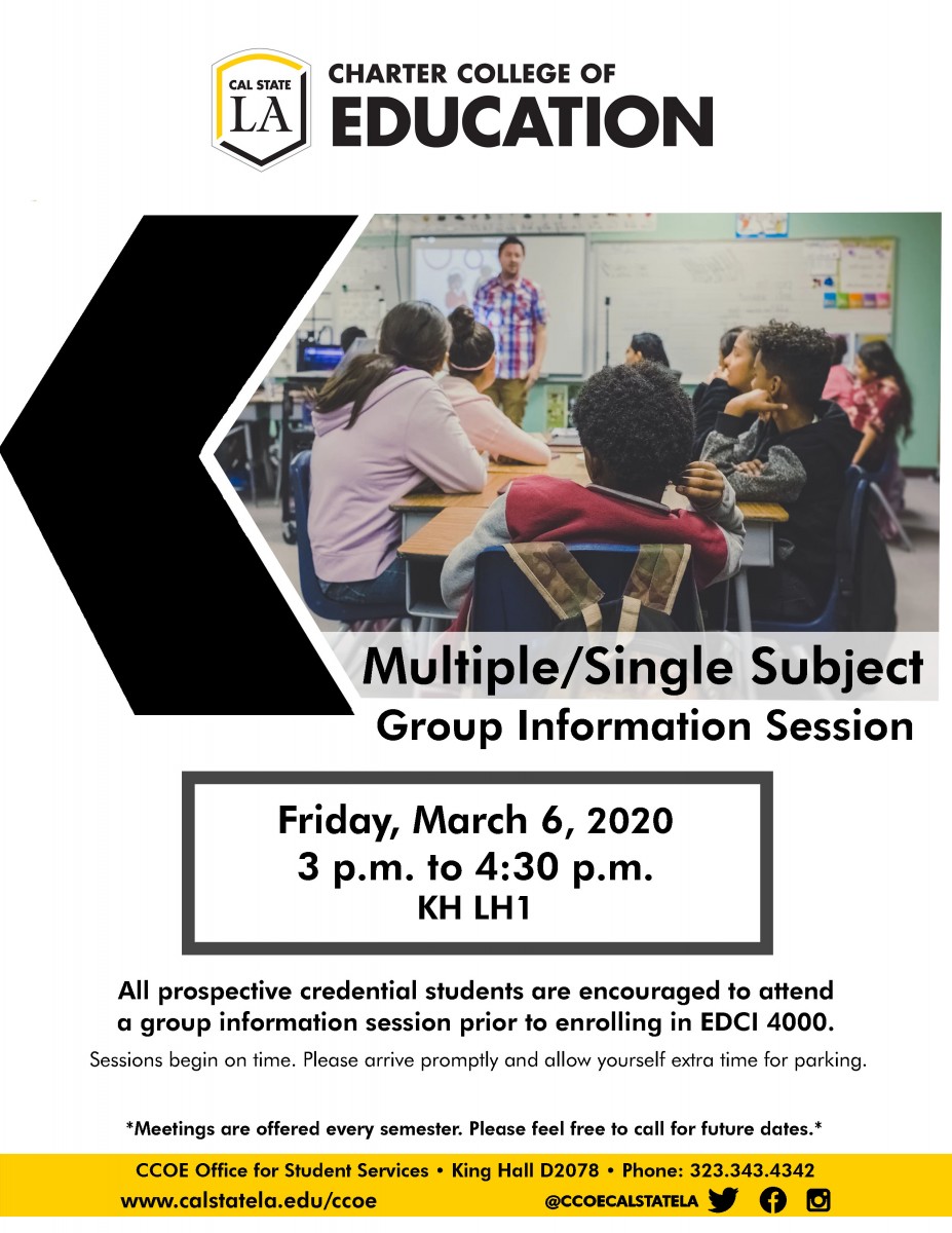 Multiple and Single Subject Group Information Flyer sp2020