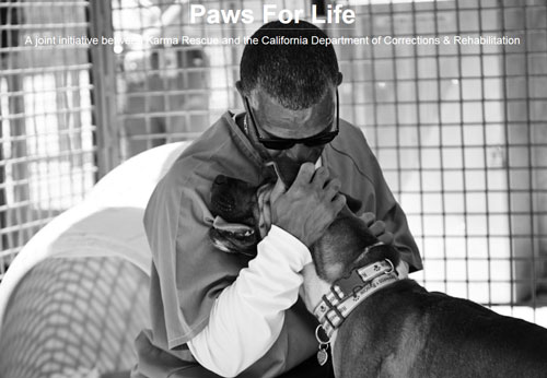 Inmate hugging Dog