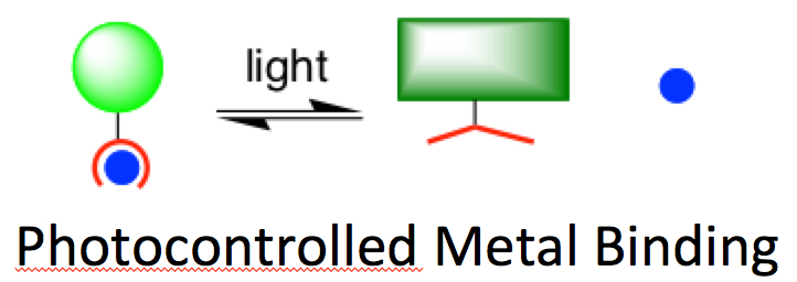Schematic drawing of calcium in blue bound (left) and released (right) by using light