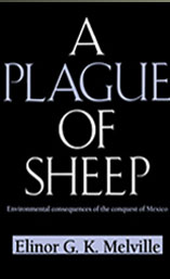 Cover for Plague Book