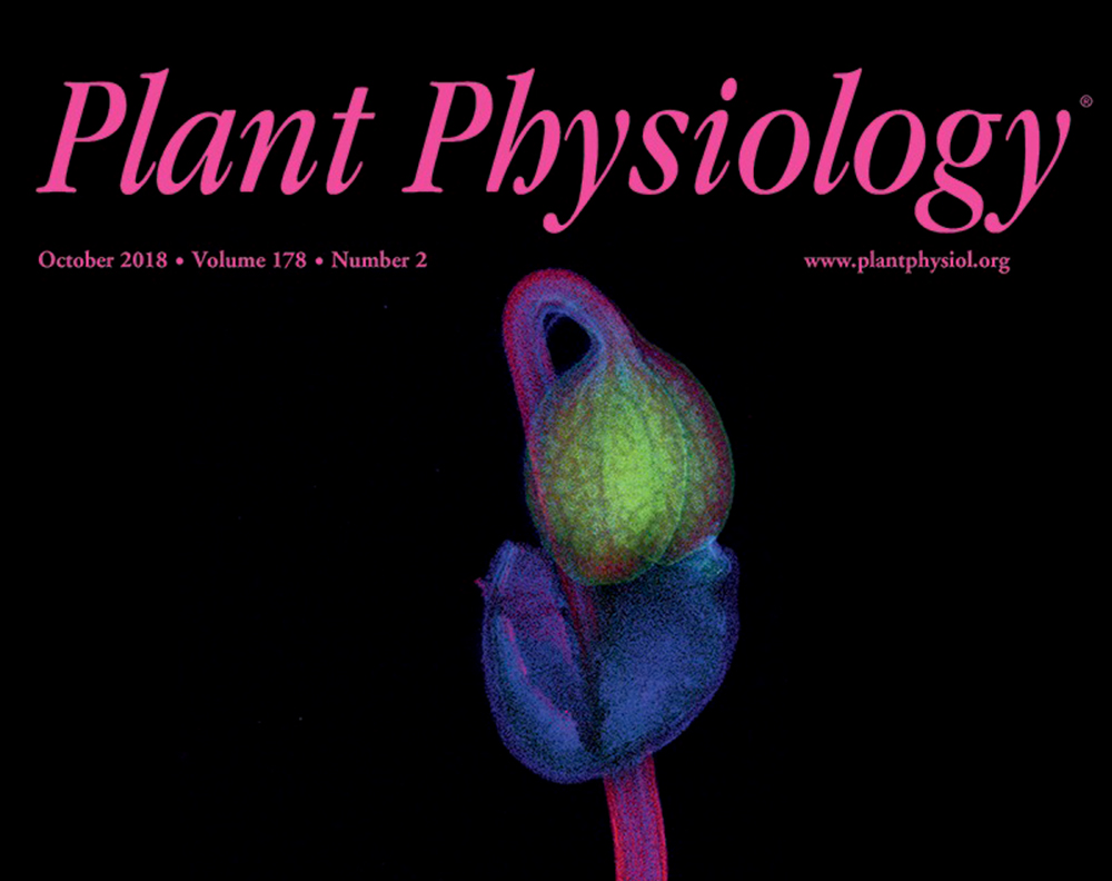 Plant Physiology