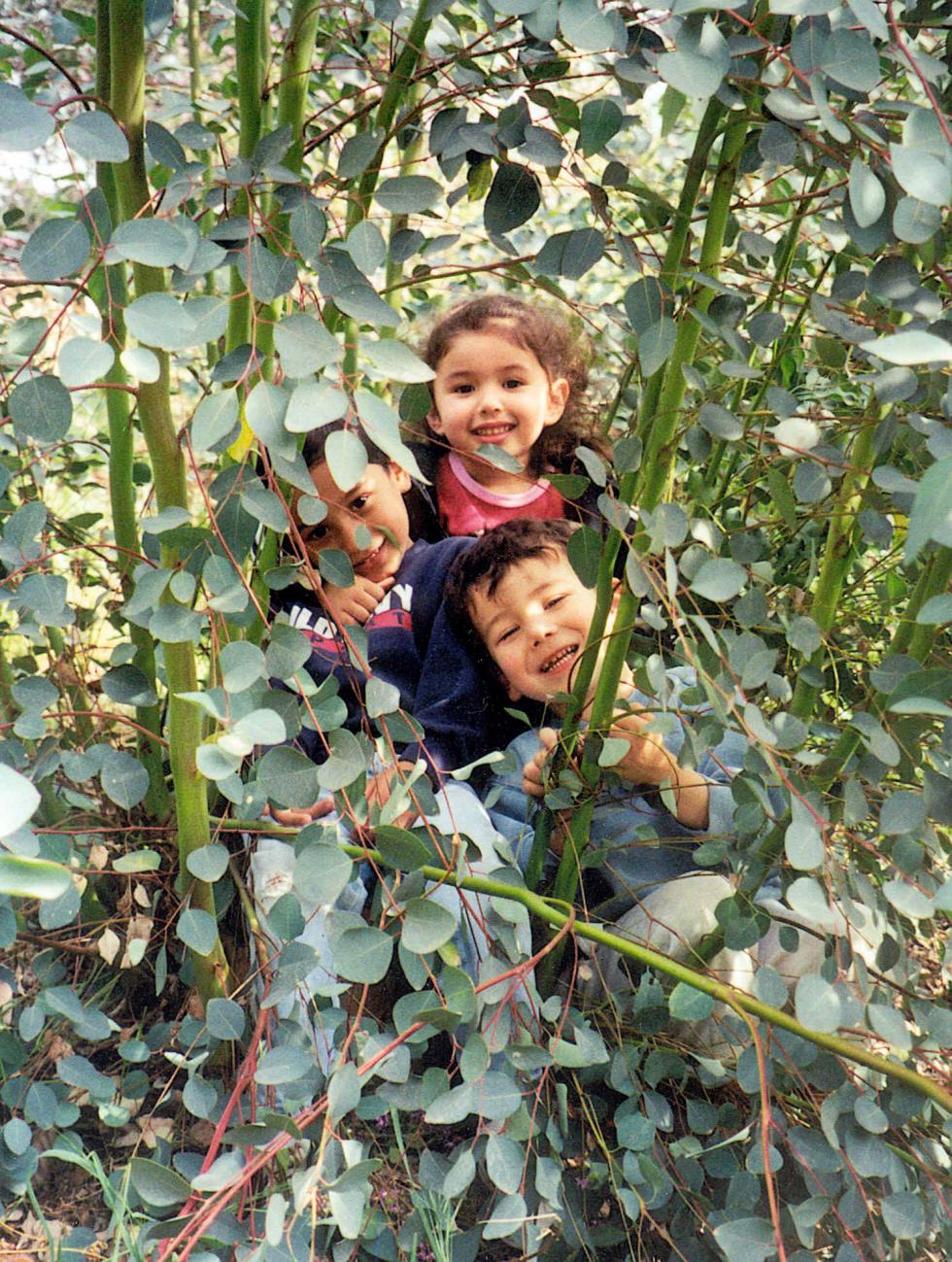 Picture of Child in the Yard