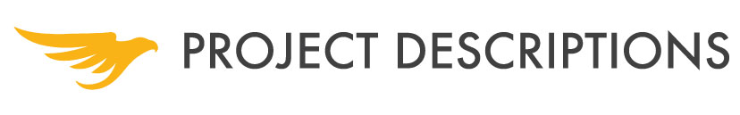 eagle icon and project descriptions