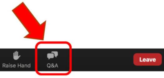 Question and Answer Icon