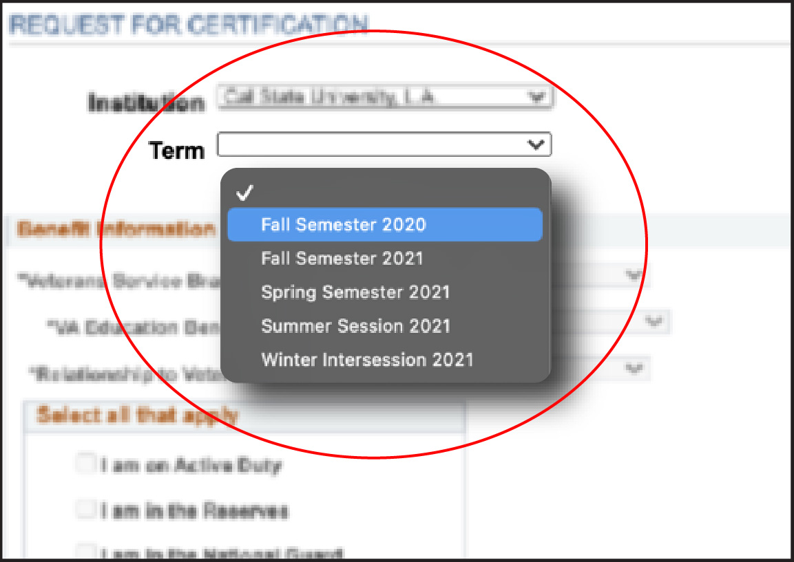 Online form, circle around Term drop-down menu at the top of the form.
