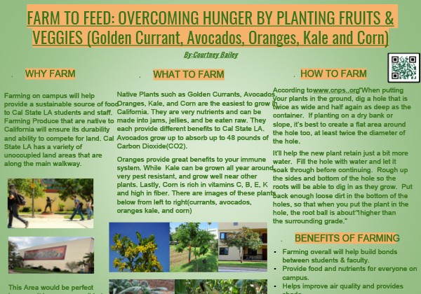 Farm to Feed: Overcoming Hunger by Planting Fruits & Veggies Poster A green and yellow-themed poster titled Farm to Feed: Overcoming Hunger by Planting Fruits & Veggies (Golden Currant, Avocados, Oranges, Kale, and Corn) by Courtney Bailey. This poster discusses why farming on campus can help address food security for Cal State LA students and staff. It features information on what plants to grow, including native California crops such as golden currant and avocados, and how to farm them.
