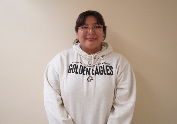 honors college ambassador