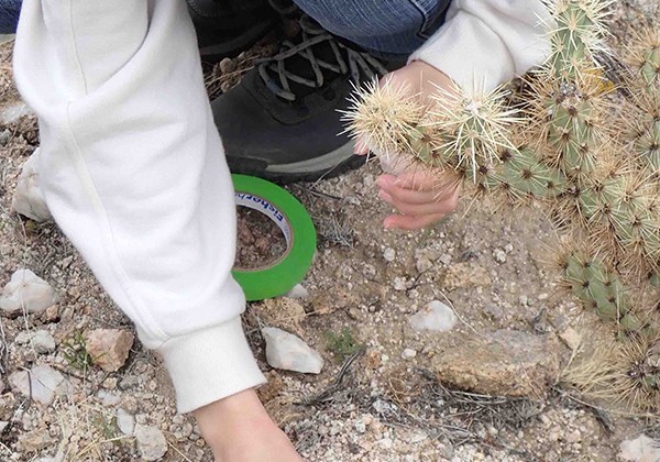 student collecting moss specimen