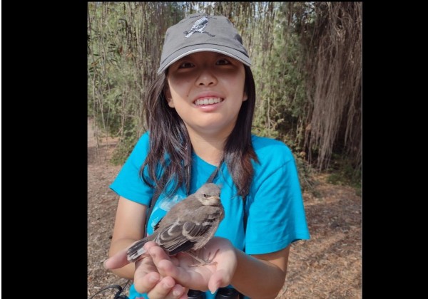 photo of lara tseng holding northern mockingbird