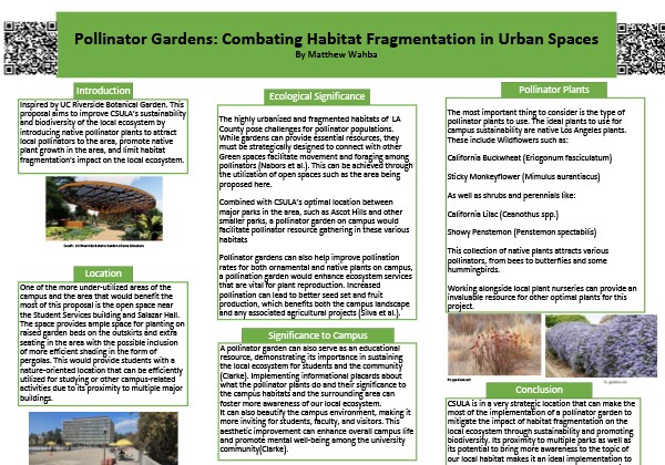Pollinator Gardens: Combating Habitat Fragmentation in Urban Spaces Poster A green-themed poster titled Pollinator Gardens: Combating Habitat Fragmentation in Urban Spaces by Matthew Wahba.The poster explains a proposal for creating pollinator gardens at Cal State LA inspired by UC Riverside's Botanical Garden. It features sections on ecological significance, the importance of urban pollinator plants, and the project’s location on campus. Key plants like California buckwheat and monkeyflower are highlighted