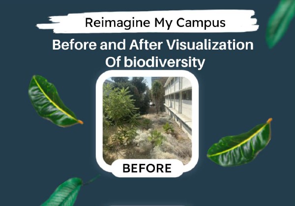 Poster proposing a before-and-after visualization of biodiversity improvements on campus