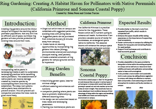 Ring Gardening: Creating A Habitat Haven for Pollinators with Native Perennials poster by Helen Perez and Cristian Turcios, proposing native plant gardens around campus to support pollinators and enhance green spaces.