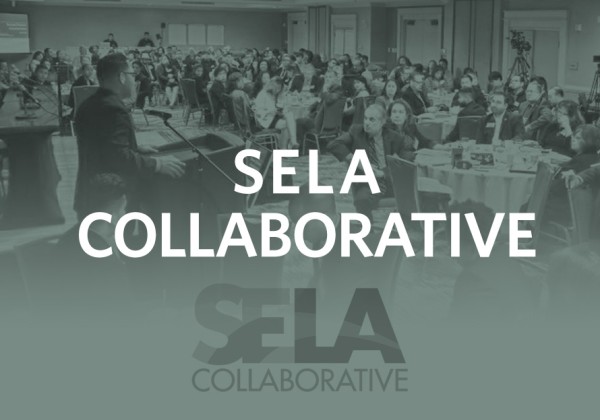 SELACollaborativeFlip