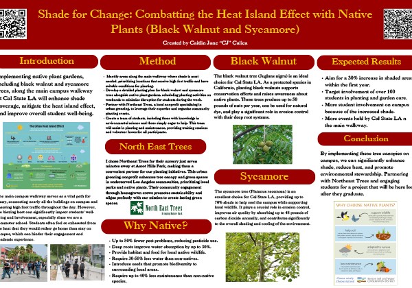 Shade for Change: Combatting the Heat Island Effect with Native Plants poster by Caitlin Jane 'CJ' Calica, proposing the use of black walnut and sycamore trees to enhance shade