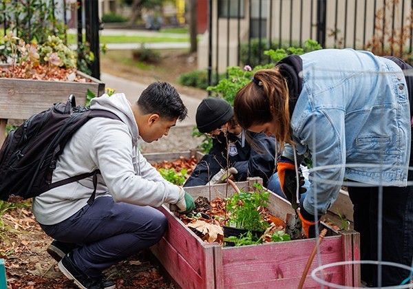 Three students planting