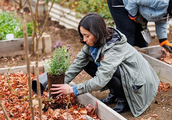 Student planting