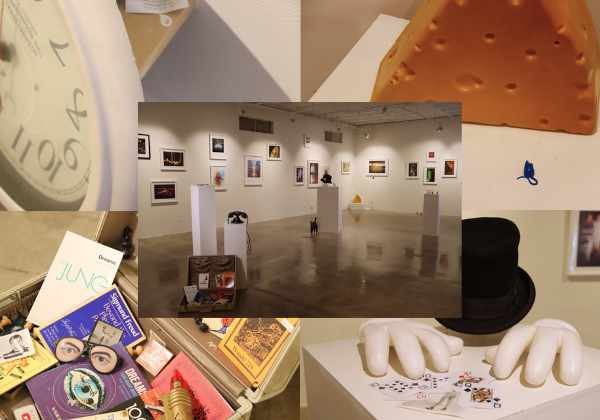 Zen Psychosis Dream Project by Shana Nys Dambrot and Osceola Refetoff at the Ronald H. Silverman Gallery