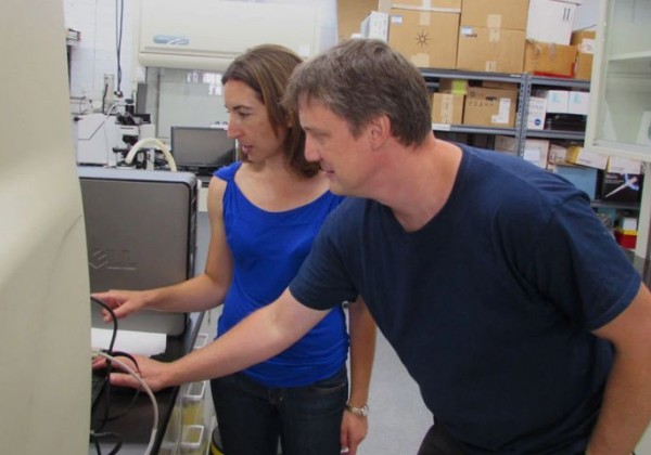 aukera researchers viewing results