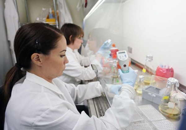 two researches experimenting in a lab