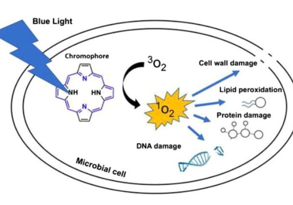 blue light diagram