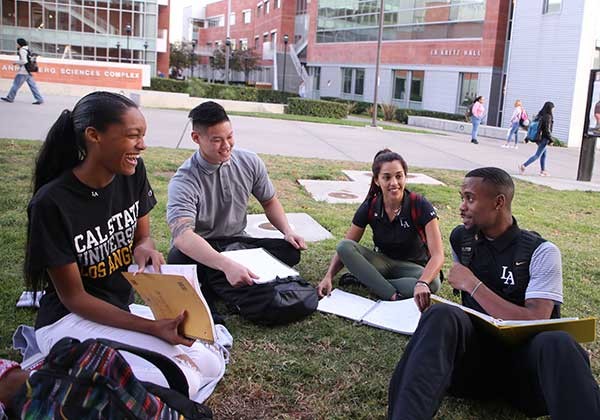 A group of four students studying on a lawn