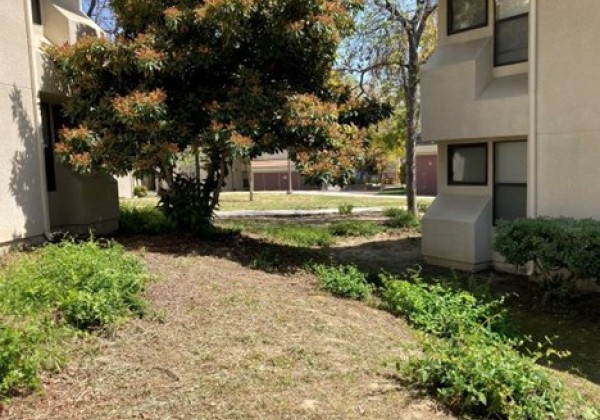 Garden Located behind CAL State LA  Housing