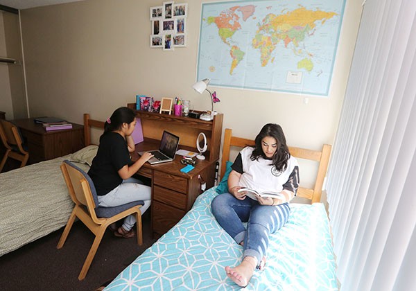 A person sitting on a bed reading while their roommate sits at a desk typing on their computer.