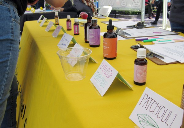 Drop bottles lined up along a table with small placards indicating what they contain.