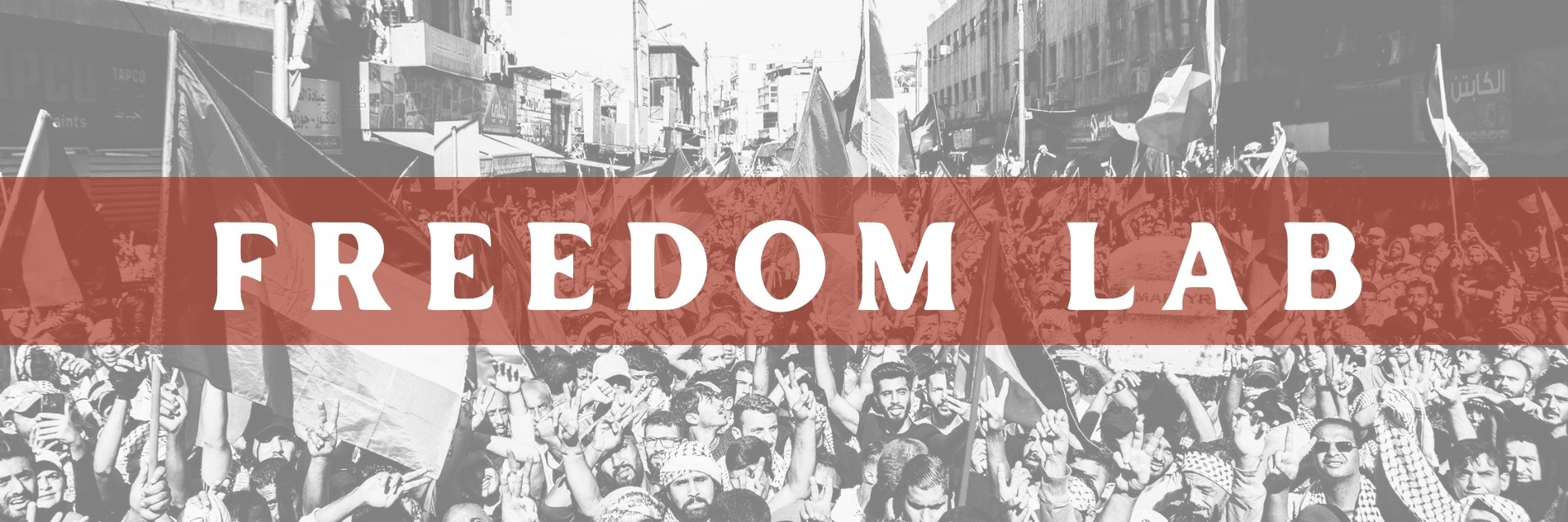 FREEDOM Lab Banner 2