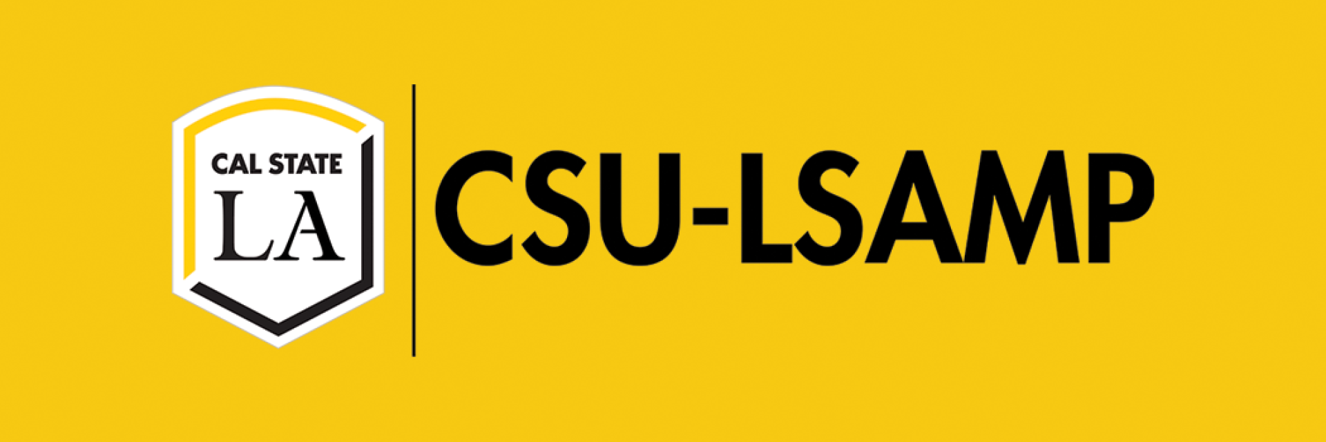 CSU-LSAMP