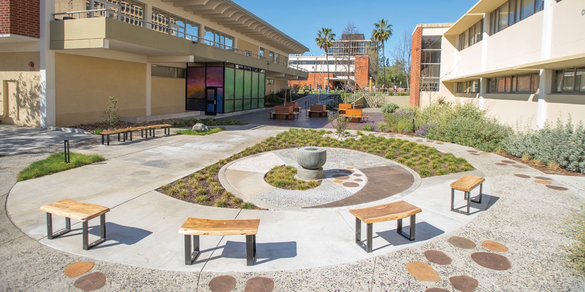 A drought-tolerant garden on a sunny day.