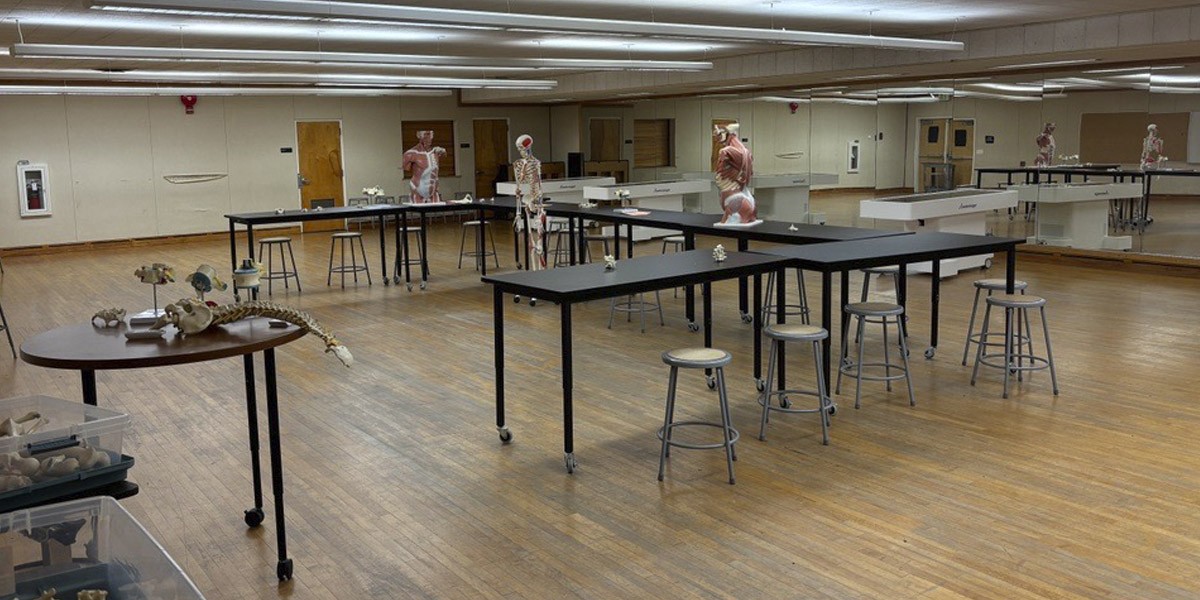 The inside of a physical education room with tables and educational models skeletons.