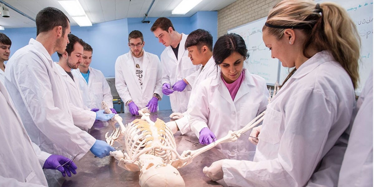 students in lab coats around skeleton