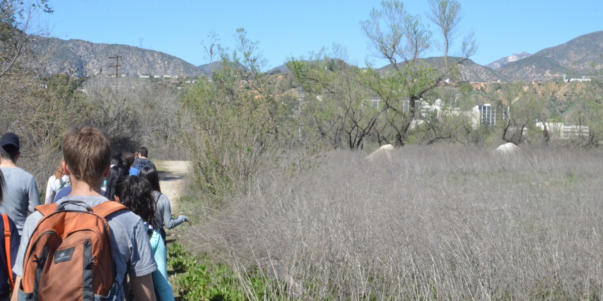 Students hiking