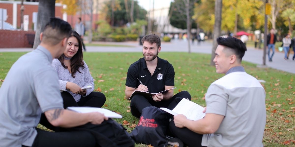 Two male and two female students interacting while sitting on grass