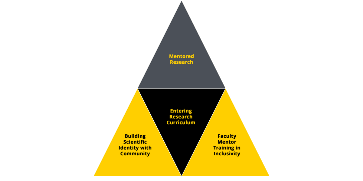 U-Rise Diagram: Mentored Research, Entering Research Curriculum, Building Scientific Identity, Faculty Mentor Training 