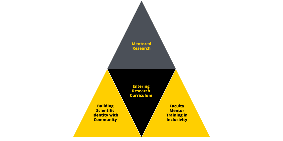 U-Rise Diagram: Mentored Research, Entering Research Curriculum, Building Scientific Identity, Faculty Mentor Training