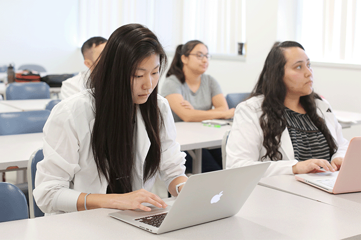 NURSING STUDENTS USING COMPUTER