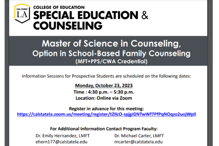 family_counseling_info_sheet2