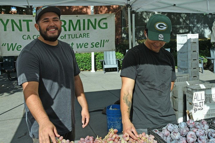 Two people standing behind a table displaying grapes and other fresh fruits.