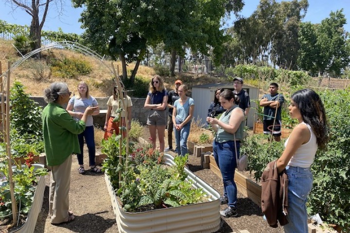 Cal State LA students at the Urban Garden
